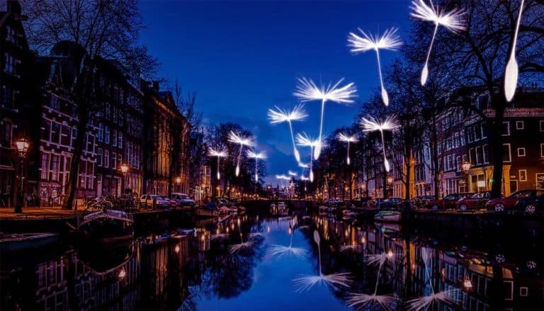 Evenementen Amsterdam: beleef het zelf