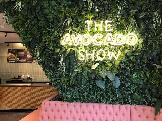 the avocado show een unieke brunch locatie