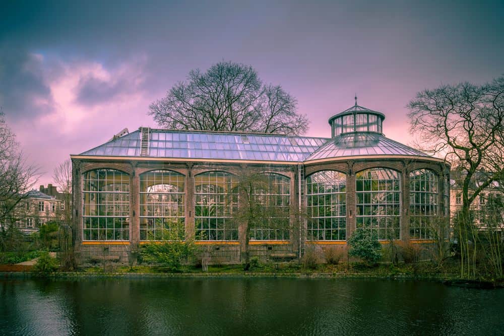 Hortus  Botanicus Amsterdam