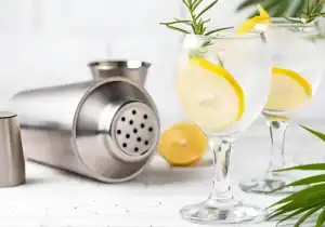 Glass of gin and tonic with a cocktail shaker on a table