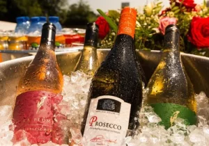 Prosecco cruise amsterdam