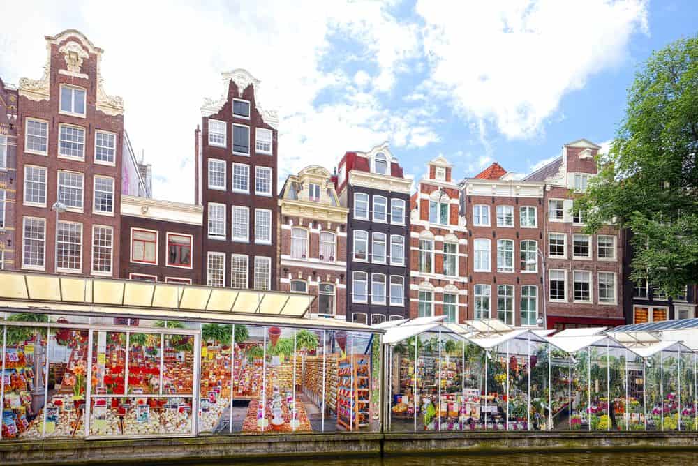 Der Amsterdamer Bloemenmarkt