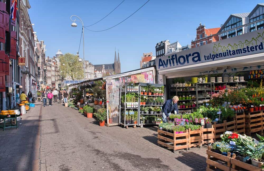 Blumenmarkt in Amsterdam