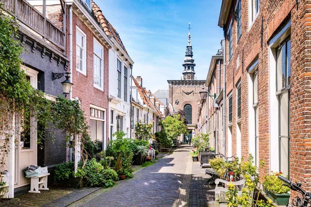 Discover the golden streets in Haarlem