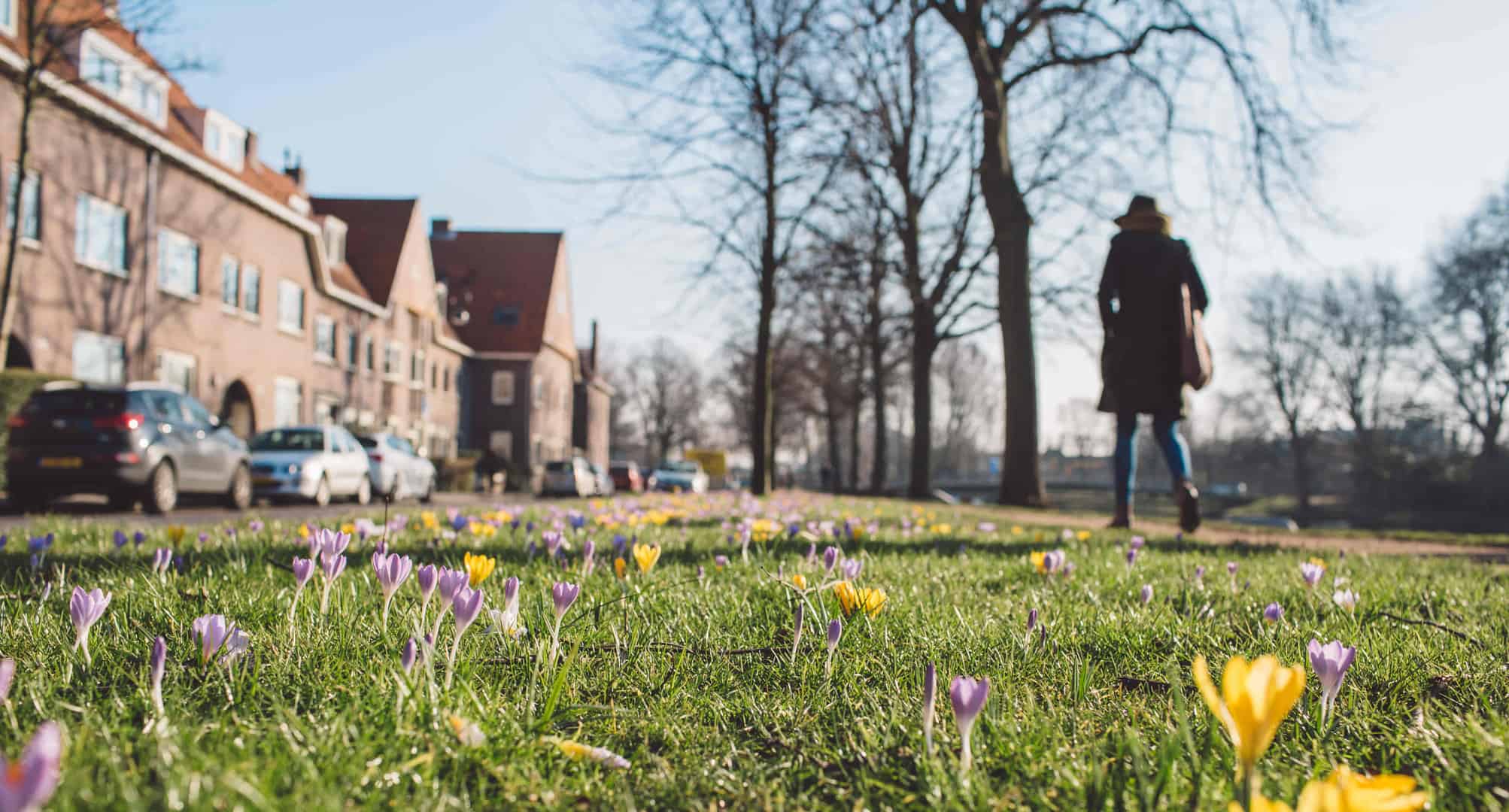 Haarlem Nature