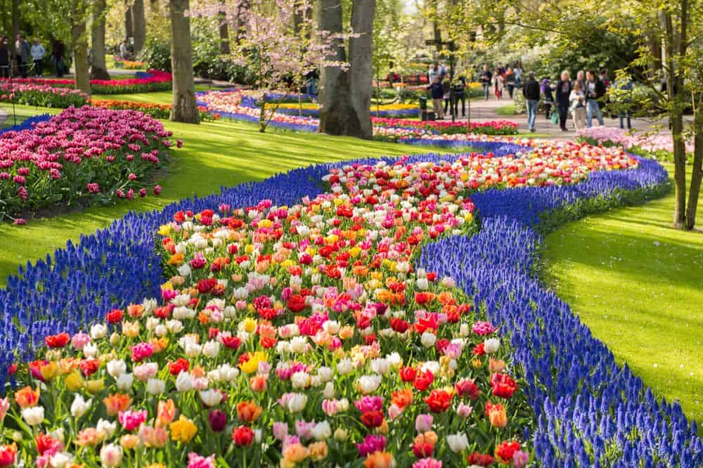 Keukenhof Amsterdam