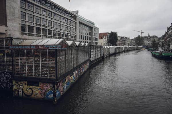 Bloemenmarkt Aktivitäten Amsterdam